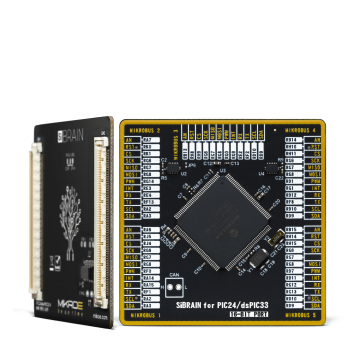 SiBRAIN, il nuovo standard per lo sviluppo di microcontroller