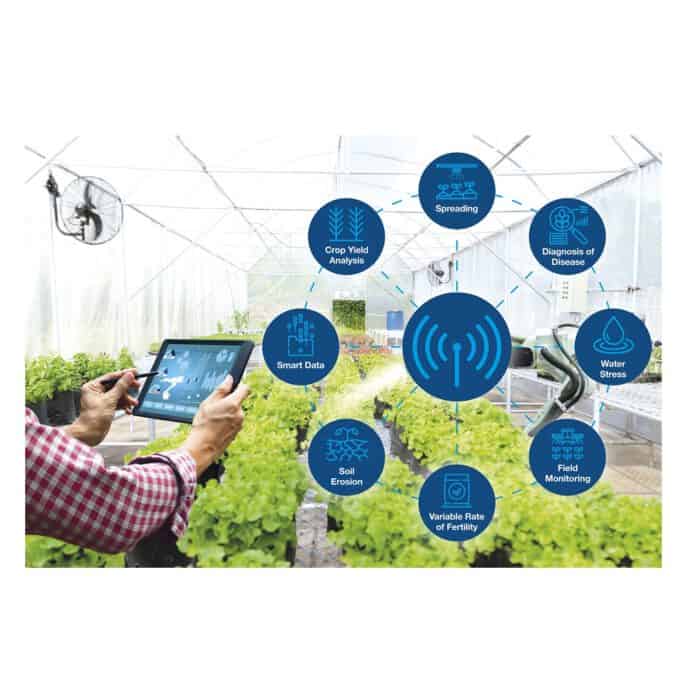 Sensori per l'agricoltura intelligente